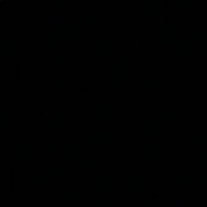 Meet your Posher, Curtis